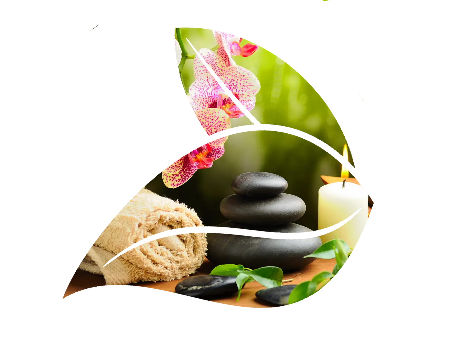 Forme papillon image zen