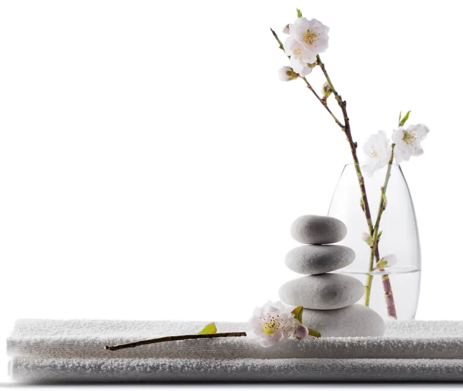 photo zenitude pierres et fleurs